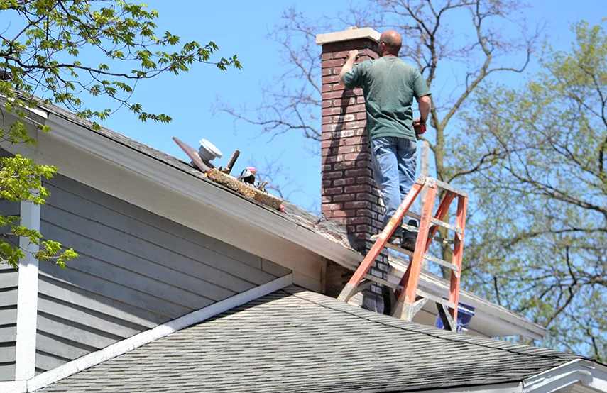 Chimney & Fireplace Inspections Services in Northview, MI